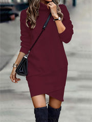 Turtleneck Long Sleeve Asymmetrical Hem Mini Dress