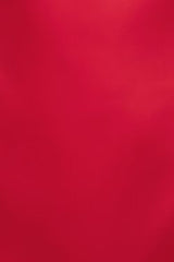 Selina Satin Mini Dress