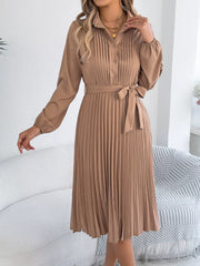 Pleated Tie Waist Balloon Sleeve Dress