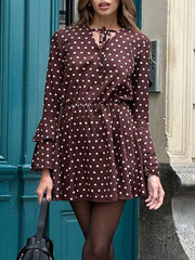 Polka Dot Long Sleeve Mini Dress